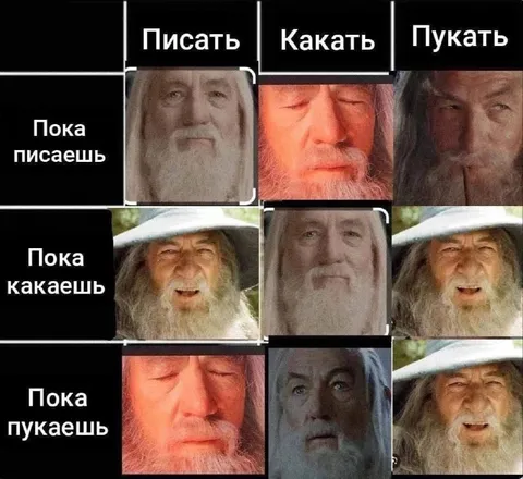 Гэндальф пишет, какает и пукает