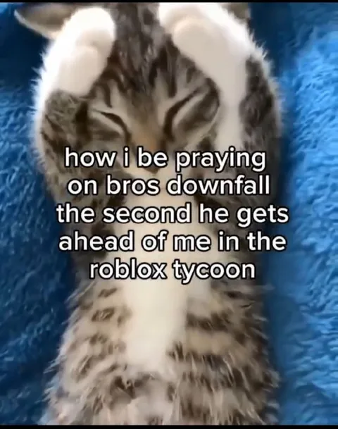 Praying Cat in Roblox Tycoon