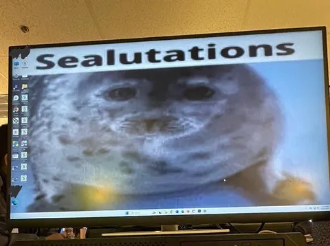 Salutations Cat Greeting