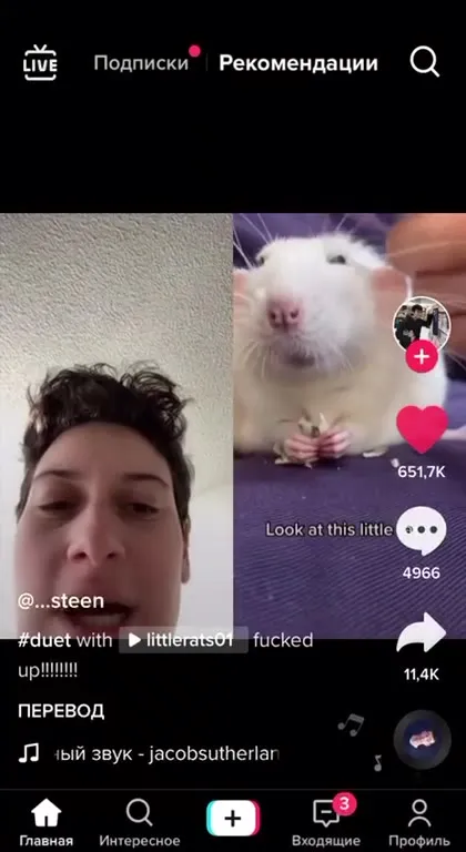 Look at This Little Rat