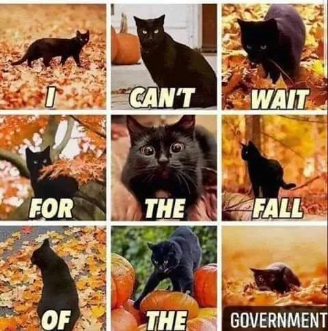 I Can't Wait for the Fall of the Government