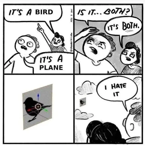 Bird Plane Both Meme