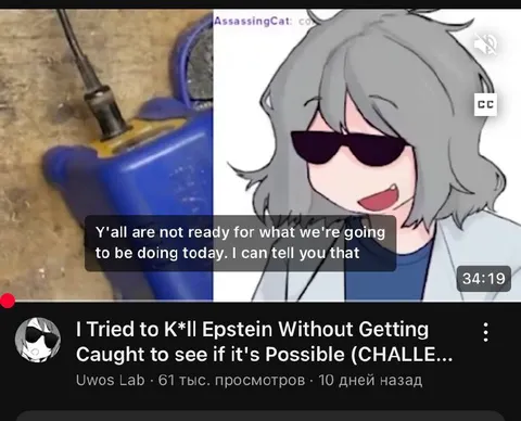 I Tried to K*ll Epstein