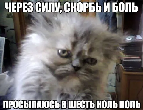 Просыпаюсь в шесть ноль ноль
