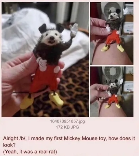 Rat Dressed as Mickey Mouse