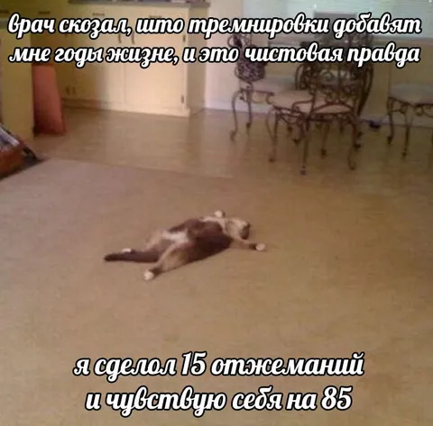 15 отжиманий и мне 85