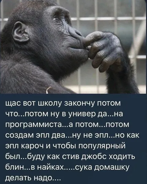 Планы после школы