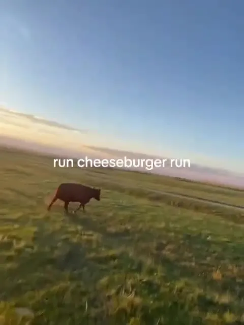 Run Cheeseburger Run