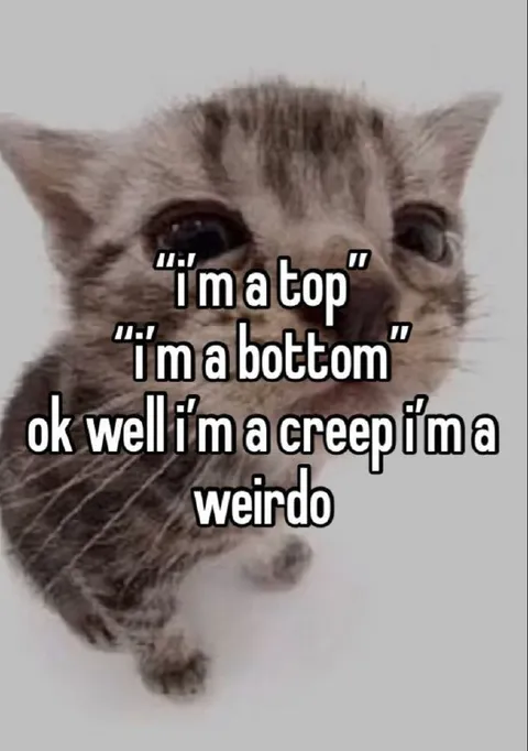 Cat Top Bottom Creep Weirdo