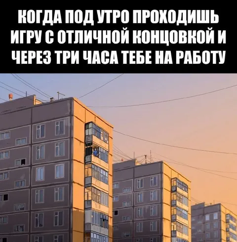 Когда прогулка закончилась работой