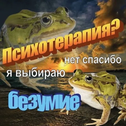 Я выбираю безумие