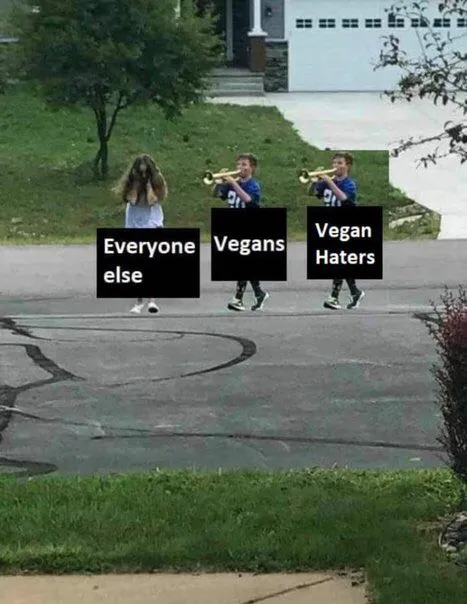 Everyone Else, Vegans, Vegan Haters