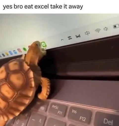Turtle Eats Excel