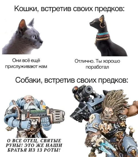 Кошки и собаки встречают предков