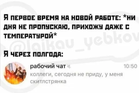 Через полгода на новой работе