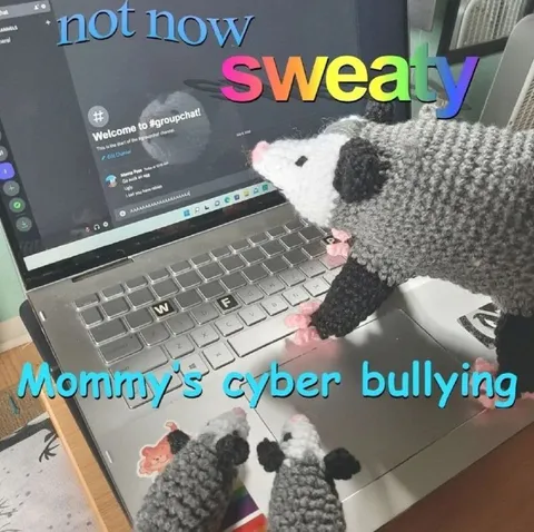 Mommy's Cyber Bullying