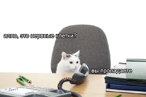 Нервные клетки пропадают