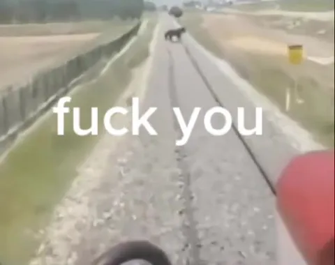 Fuck You Train Track Encounter