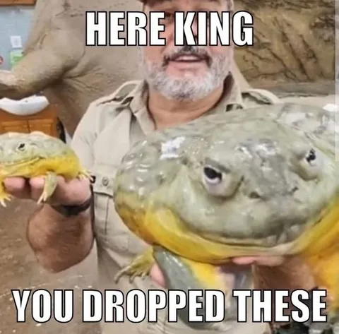 Here King You Dropped These