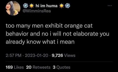 Orange Cat Behavior