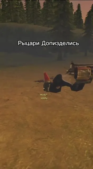 Рыцари допизделись