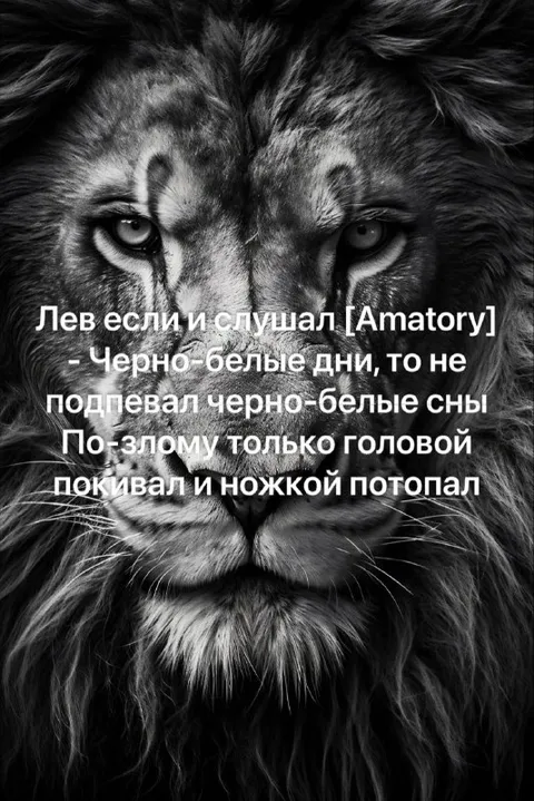 Лев слушает Amatory