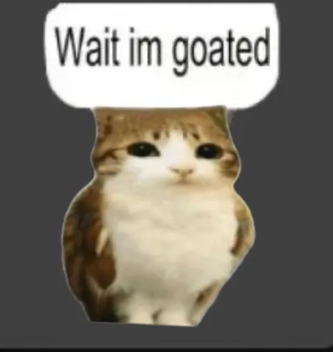 Wait im goated