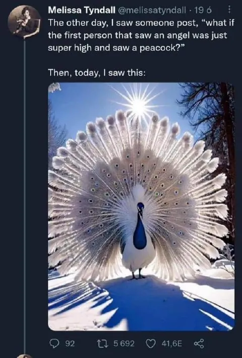 The Angel Was a Peacock