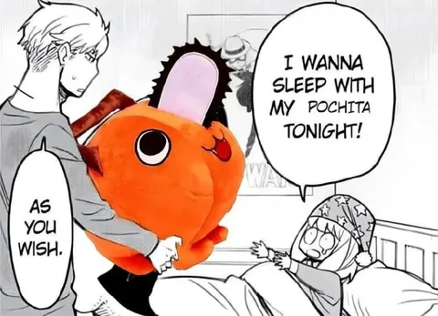 I Wanna Sleep With My Pochita