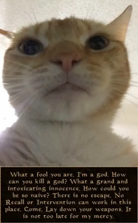 Cat Claims to Be God