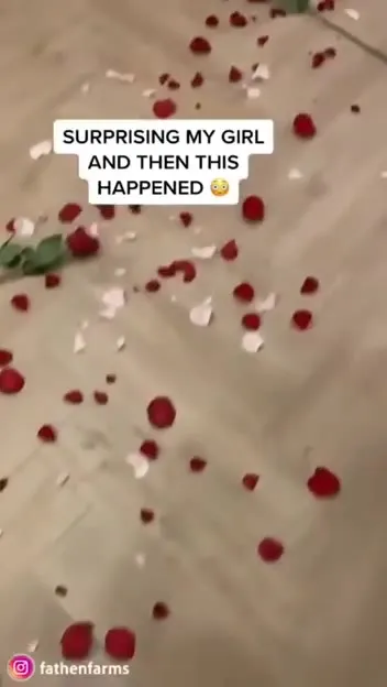 Romantic Surprise Ruined by Dog