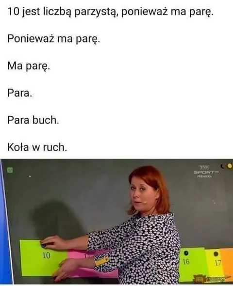 Kota w ruch