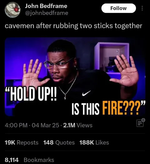 Cavemen Discover Fire