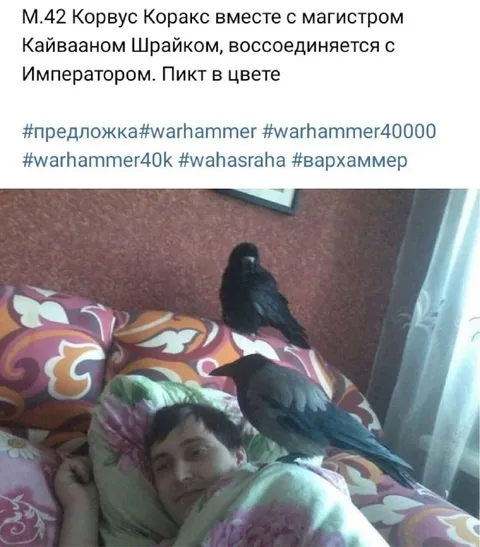 Корвус Коракс воссоединяется с Императором