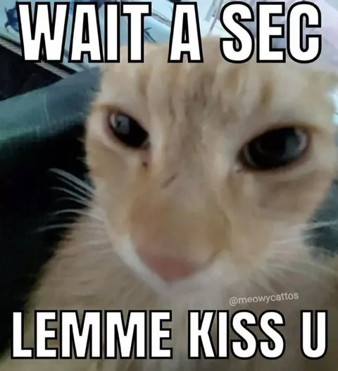 Wait a Sec Lemme Kiss U