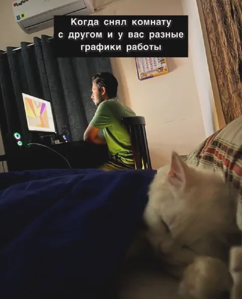 Разные графики работы