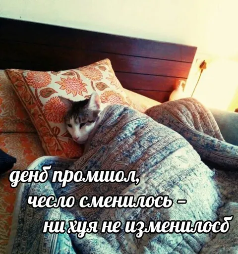 День прошёл, ничего не изменилось