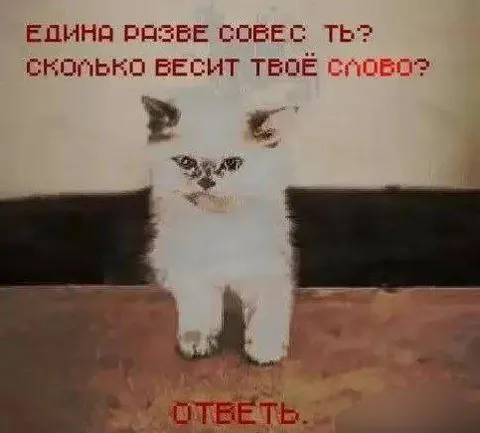 Сколько весит твоё слово