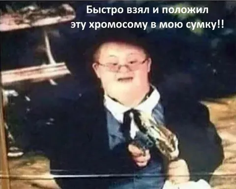 Хромосома в моей сумке