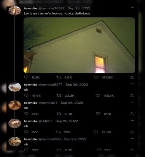 Termites Eat Jerry’s House