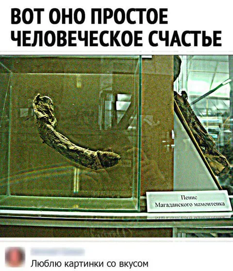 Простое человеческое счастье