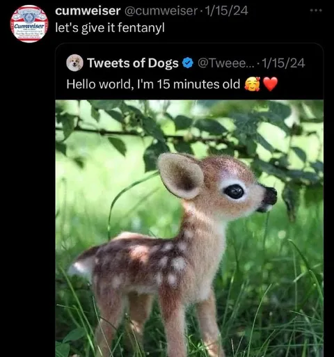 Fentanyl for a Newborn Fawn