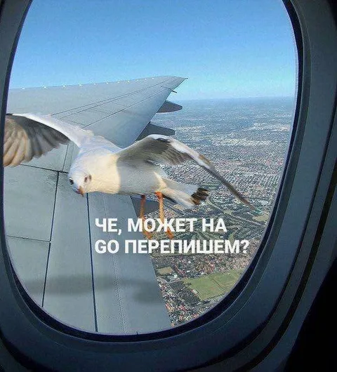 Чайка предлагает переписаться