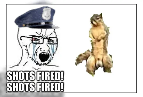 Shots Fired Reaction