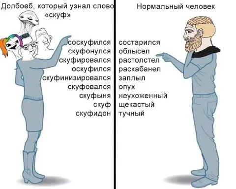 Долбоеб, который узнал слово «скуф»