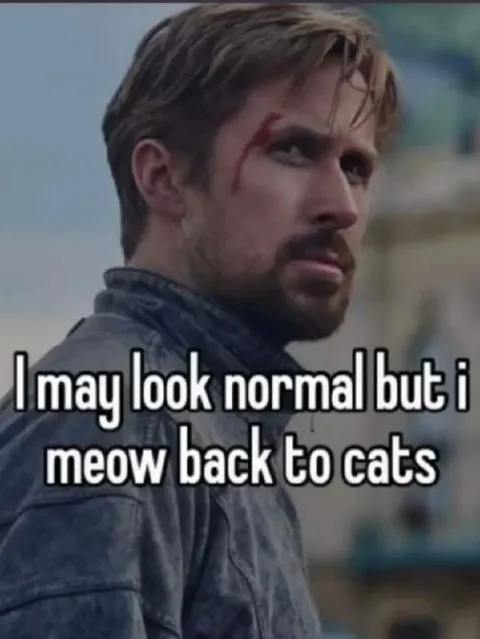 Ryan Gosling Meows at Cats
