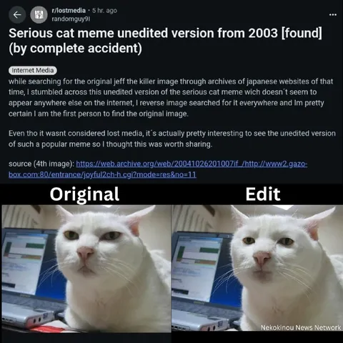 Serious Cat Original vs Edit