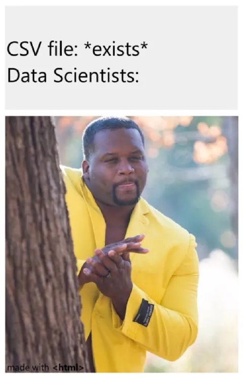 Data Scientists See a CSV File