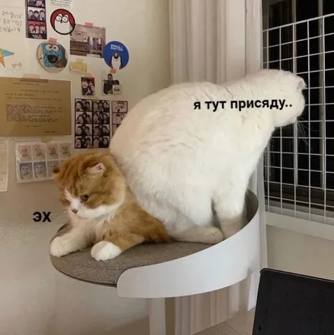 Я тут присяду