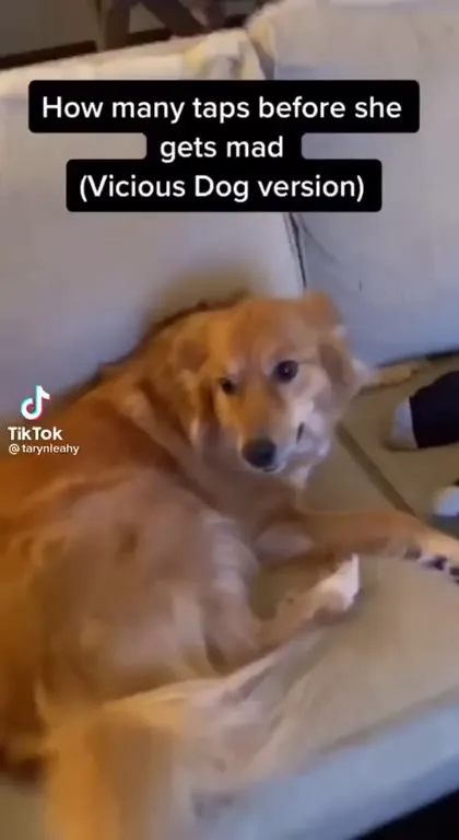 How Many Taps Before She Gets Mad